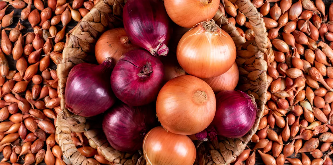 Consumption of Organic Onion in India Decoction to Treat Sore Throat